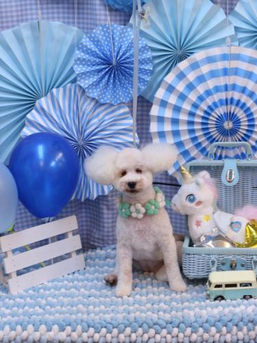 20231122あんちゃん